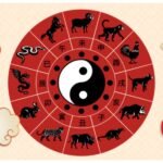 2007 рік якої тварини