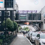 космополит