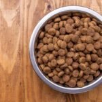 сухий корм для котів