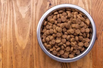 сухий корм для котів