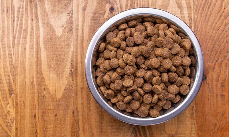 сухий корм для котів