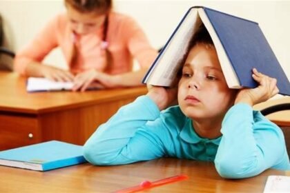 навчальний рік